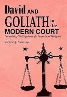 David and Goliath in the Modern Court 1