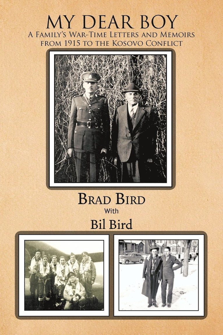 Brad Bird - My Dear Boy, Häftad