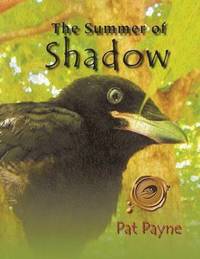 bokomslag Summer of Shadow