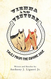bokomslag Vienna and Venture