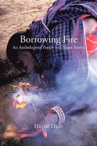 bokomslag Borrowing Fire