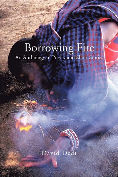 bokomslag Borrowing Fire