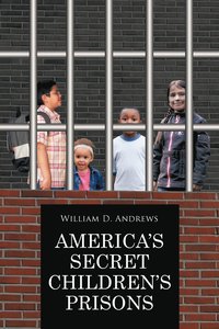 bokomslag America's Secret Children's Prisons