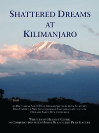 bokomslag Shattered Dreams At Kilimanjaro