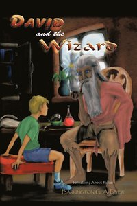 bokomslag David and the Wizard