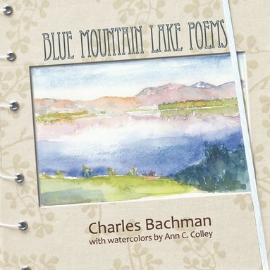 bokomslag Blue Mountain Lake Poems