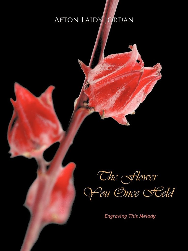 The Flower You Once Held 1