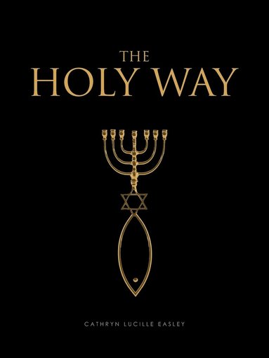 bokomslag Holy Way