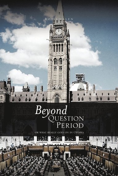 bokomslag Beyond QUESTION PERIOD