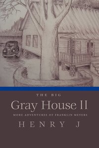 bokomslag Big Gray House II