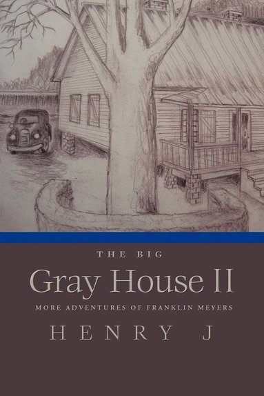 bokomslag Big Gray House II