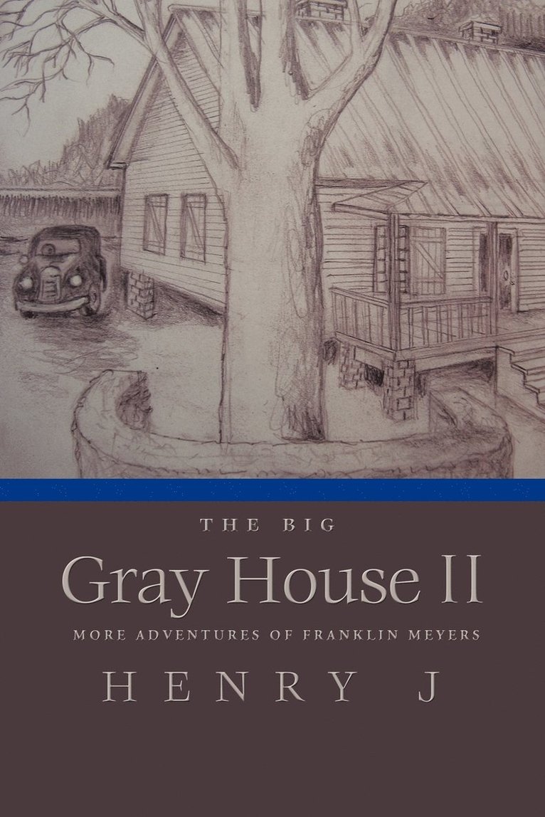 Big Gray House II 1
