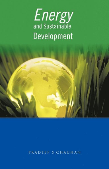 bokomslag Energy and Sustainable Development