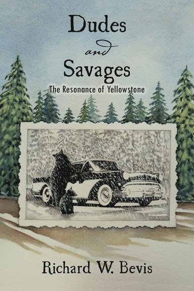 Richard W. Bevis - Dudes and Savages, Häftad