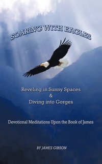 bokomslag Soaring with Eagles