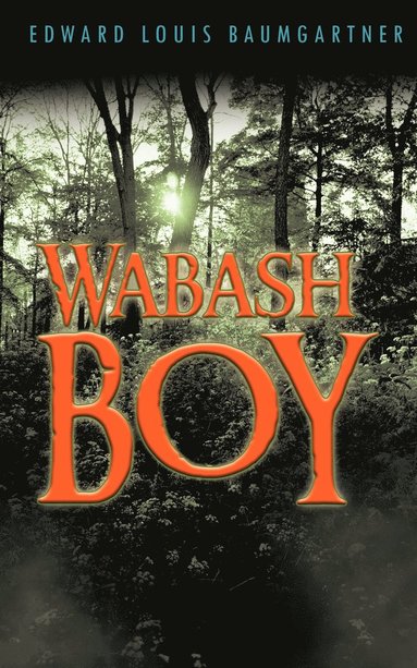 bokomslag Wabash Boy