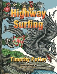 bokomslag Highway Surfing