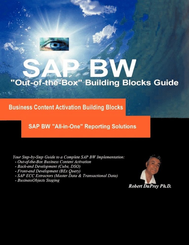 SAP BW 'All-in-One' Reporting Solutions 1