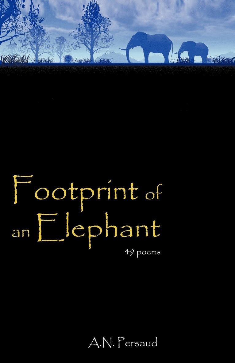 Footprint of an Elephant 1