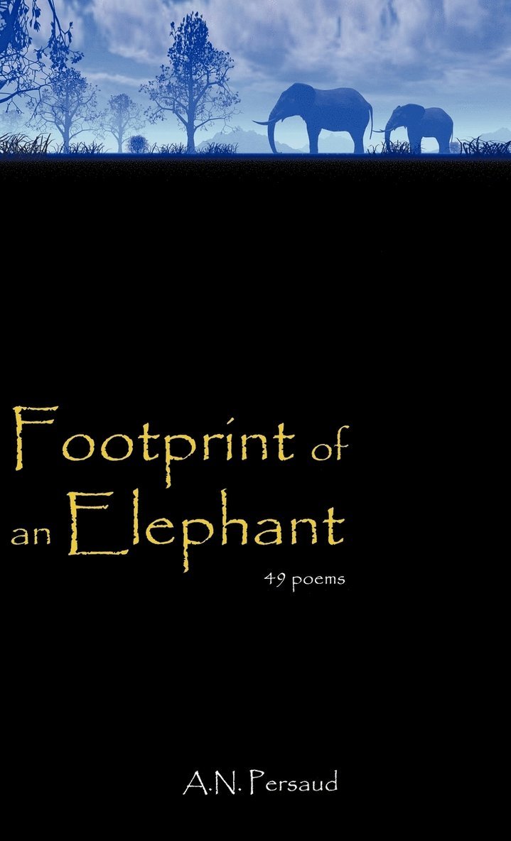 Footprint of an Elephant 1