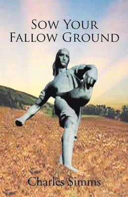 bokomslag Sow Your Fallow Ground