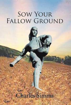 bokomslag Sow Your Fallow Ground