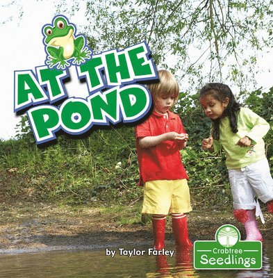 At the Pond 1