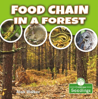 Alan Walker - Food Chain in a Forest, Häftad