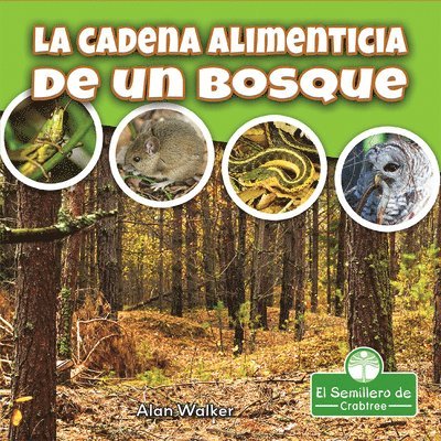 Alan Walker - La Cadena Alimenticia de Un Bosque (Food Chain in a Forest), Häftad. Tillgänglighet: Lägg i varukorg