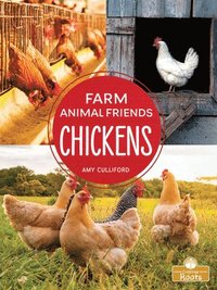 bokomslag Chickens