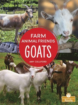 Amy Culliford - Goats, Häftad