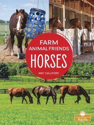 Amy Culliford - Horses, Häftad