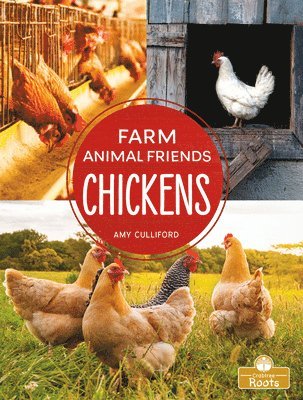 Amy Culliford - Chickens, Inbunden