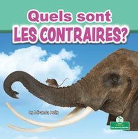 bokomslag Quels Sont Les Contraires? (What Are Opposites?)