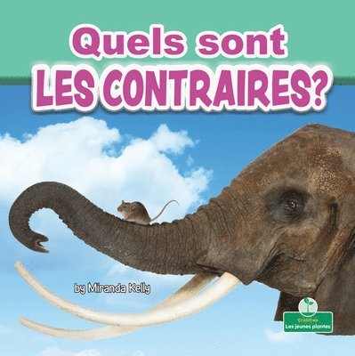 Quels Sont Les Contraires? (What Are Opposites?) 1