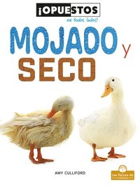 bokomslag Mojado Y Seco (Wet and Dry)