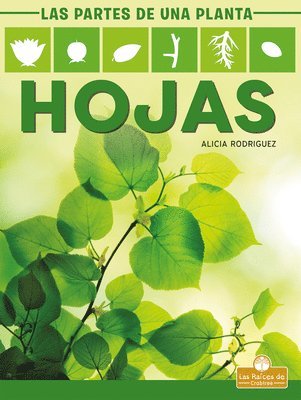 Alicia Rodriguez - Hojas (Leaves), Inbunden