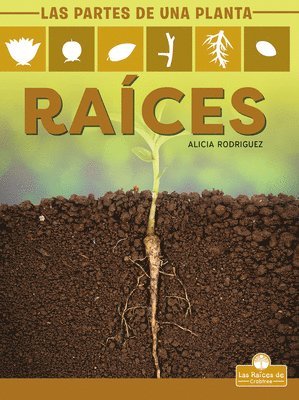 Alicia Rodriguez - Raíces (Roots), Inbunden