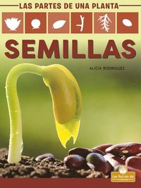 bokomslag Semillas (Seeds)