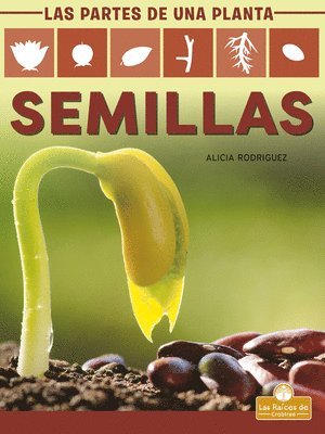 bokomslag Semillas (Seeds)