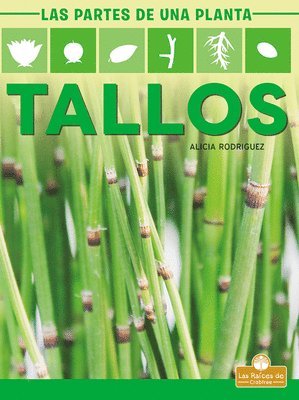 Alicia Rodriguez - Tallos (Stems), Inbunden
