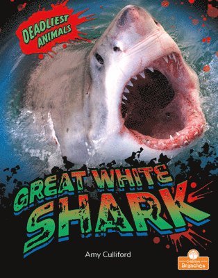 Great White Shark 1