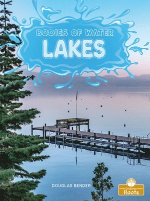Douglas Bender - Lakes, Häftad