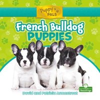 bokomslag French Bulldog Puppies