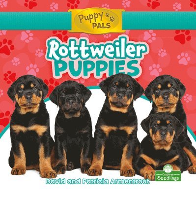 David Armentrout, Patricia Armentrout - Rottweiler Puppies, Häftad. Tillgänglighet: Tillfälligt slut