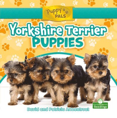 David Armentrout, Patricia Armentrout - Yorkshire Terrier Puppies, Häftad