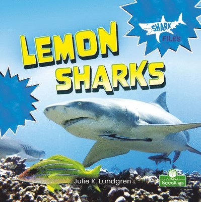 Julie K. Lundgren - Lemon Sharks, Häftad