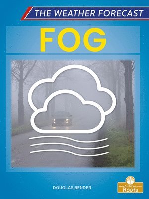 Douglas Bender - Fog, Inbunden