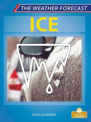 Douglas Bender - Ice, Inbunden
