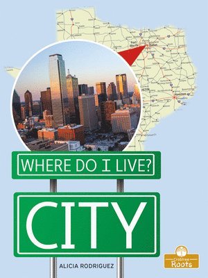 Alicia Rodriguez - City, Inbunden